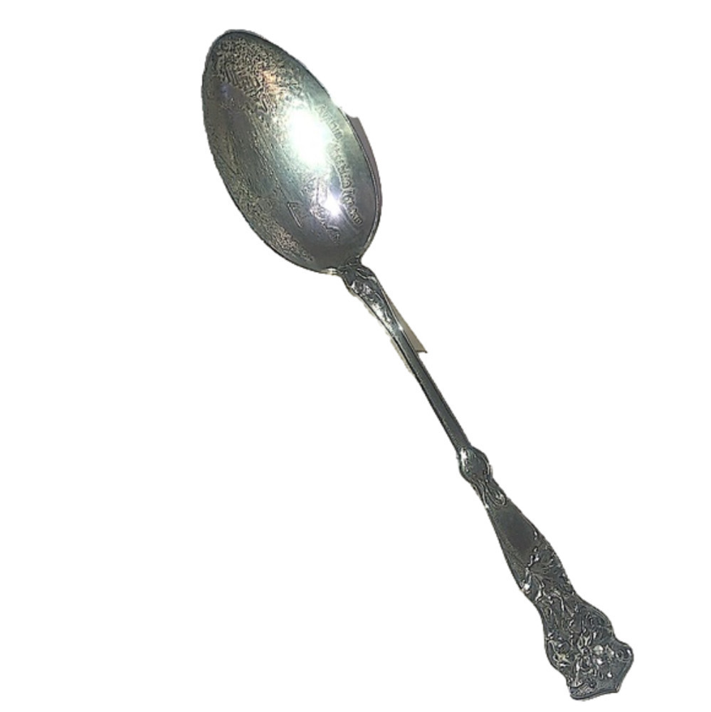 𝅺vtg Sterling Silver Avalon Catalina Island Souvenier Spoon Floral Ocean 5.5”